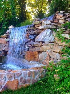 Shadetrees and Evergreens Waterfall